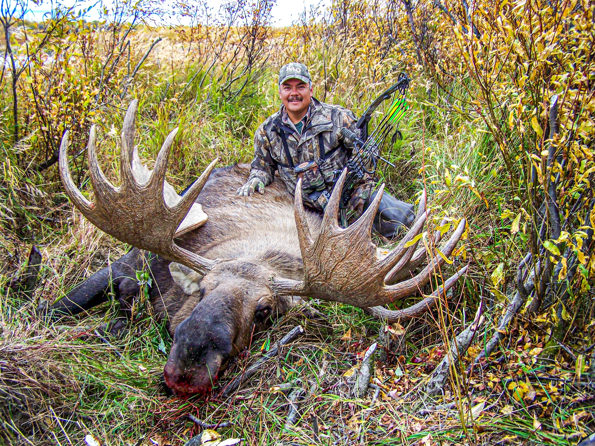 Out of State Moose Tag Alaska: Your Ultimate Guide to Bagging the Trophy