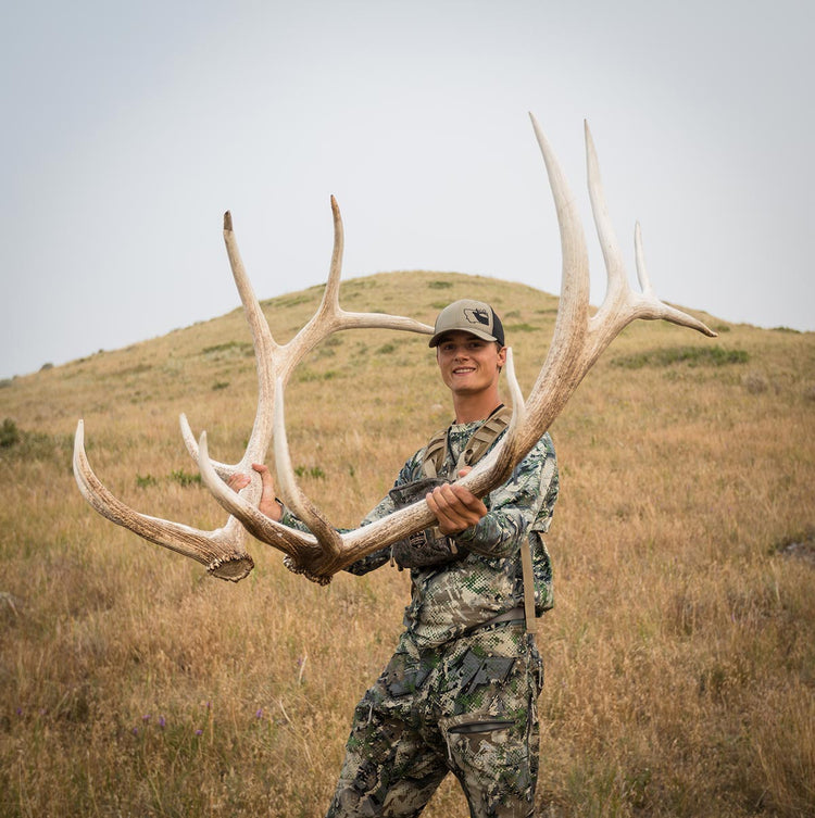 Shed Antler Hunting 101