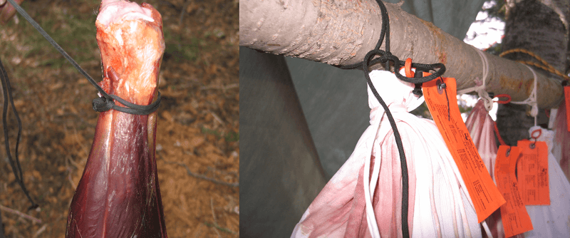 Load image into Gallery viewer, 550 Game Quarter Lashing - 5'7" Long, 7 Strand