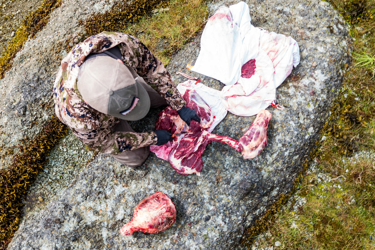 Hunter organizing elk meat bags head tag and packout gear during CWD testing preparation