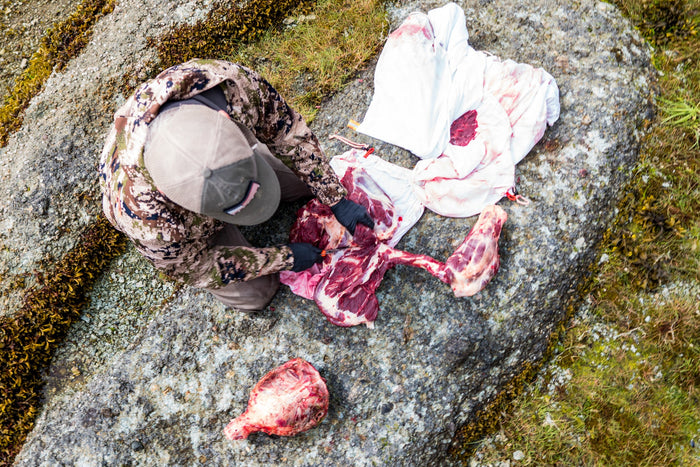 Hunter organizing elk meat bags head tag and packout gear during CWD testing preparation