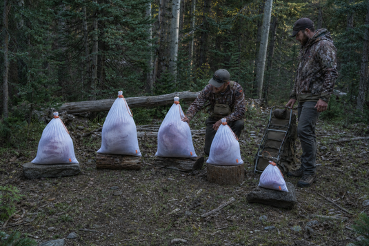 Two elk hunters compare five spaced game-bag loads in shaded timber before choosing the first packout load.