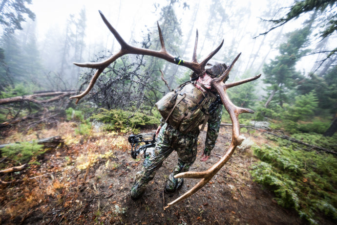 What Is The Toughest Big Game Animal To Hunt In The Rocky Mountains?