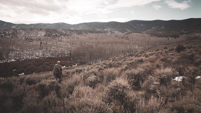 Does Bear Spray Work For Grizzlies? – Caribou Gear Outdoor Equipment Company