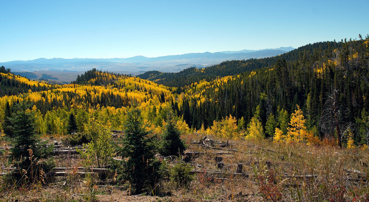 Montana Hunting Conditions 2026