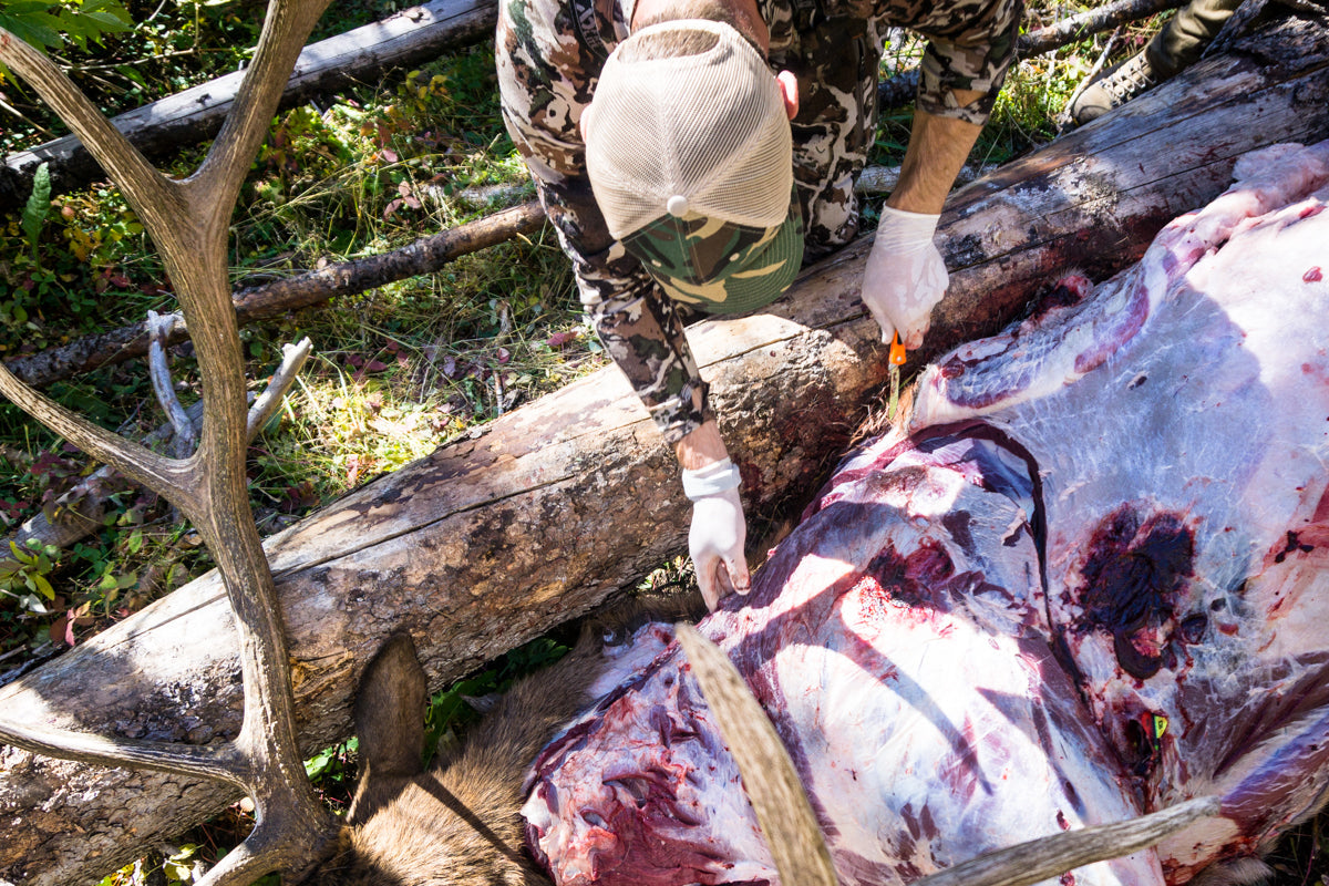 Our Top 5 Meat Care Accessories