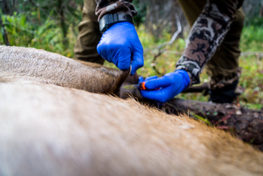 3 Reminders for Warm Weather Meat Care