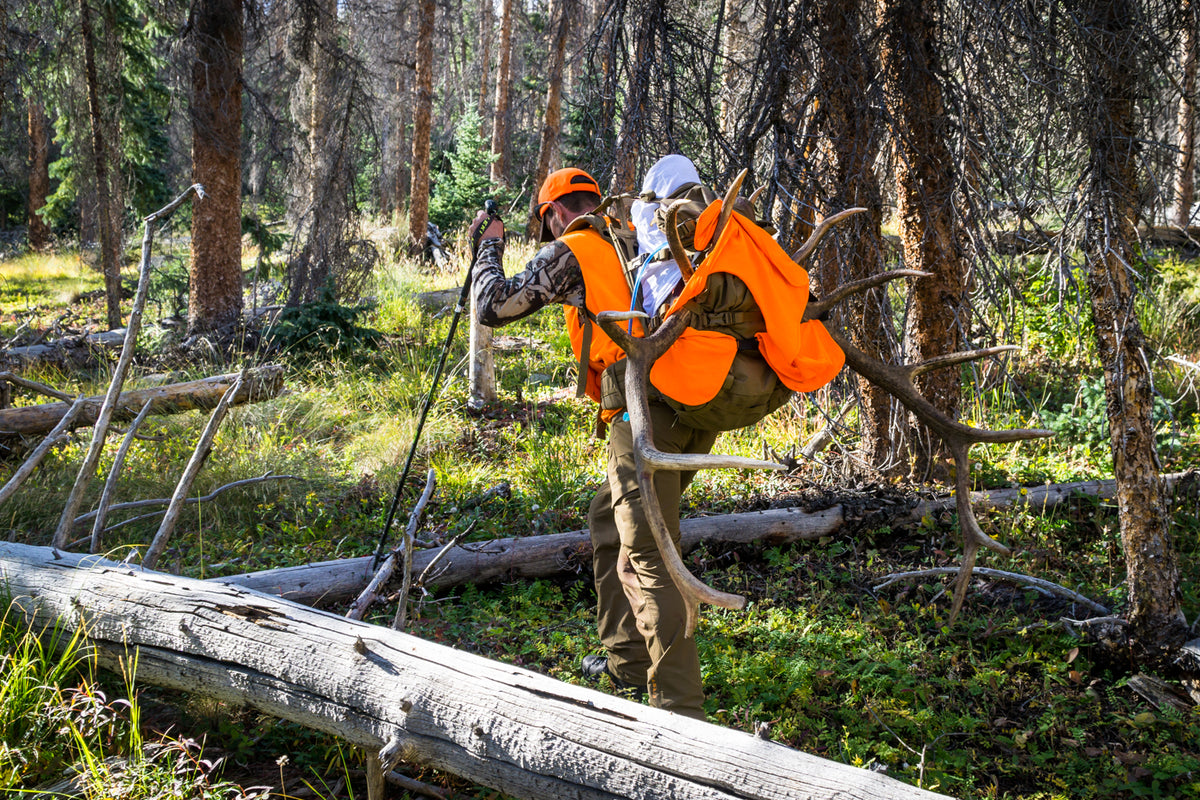 3 Reasons You Shouldn’t Miss the Colorado Application Deadline