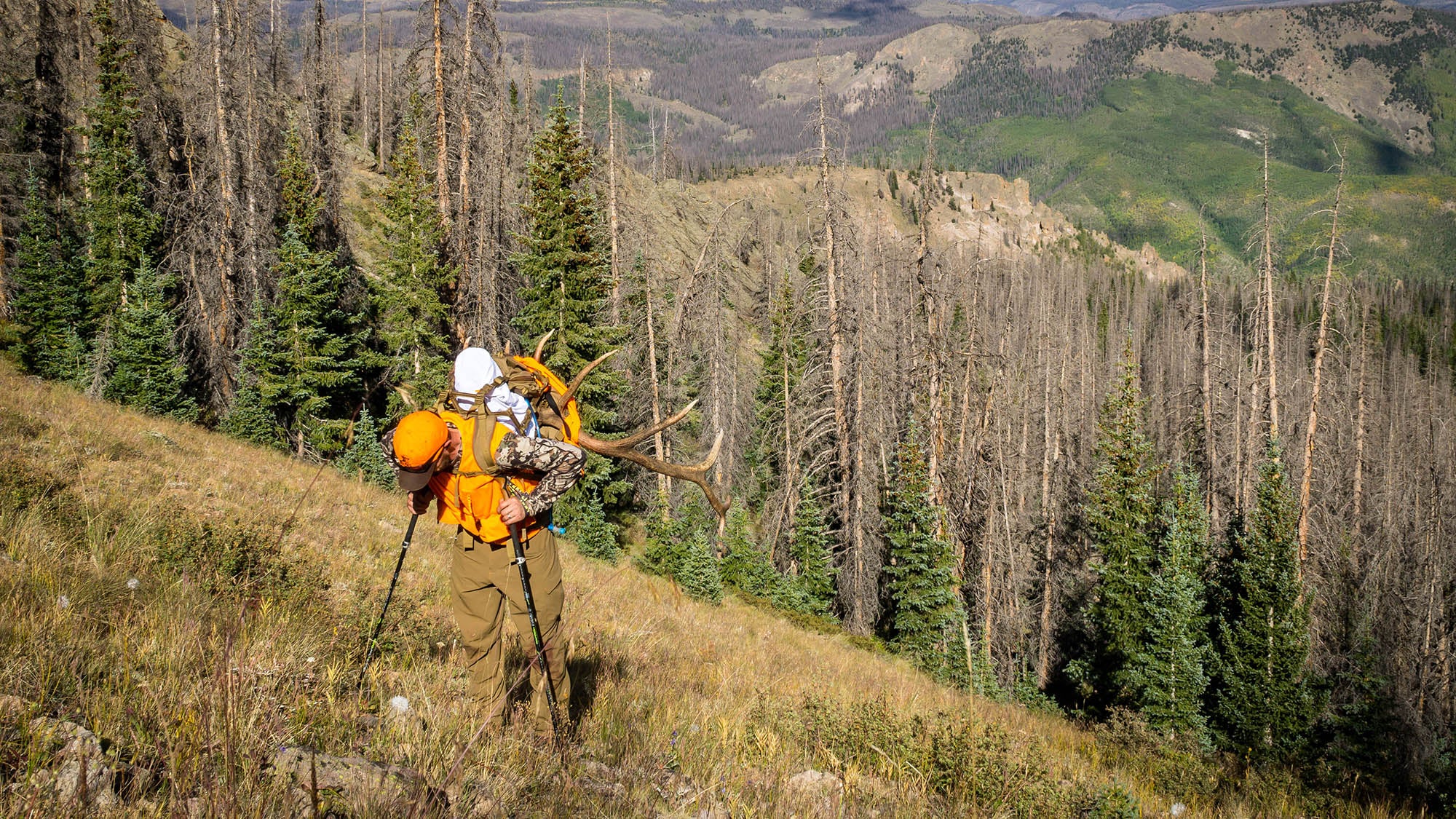 How to Move an Elk: Strategies for the Pack Out – Caribou Gear Outdoor ...