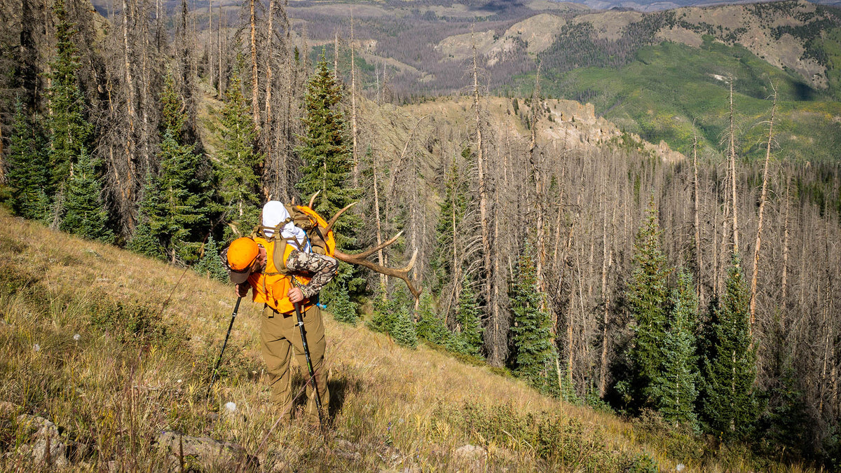 How to Move an Elk: Strategies for the Pack Out