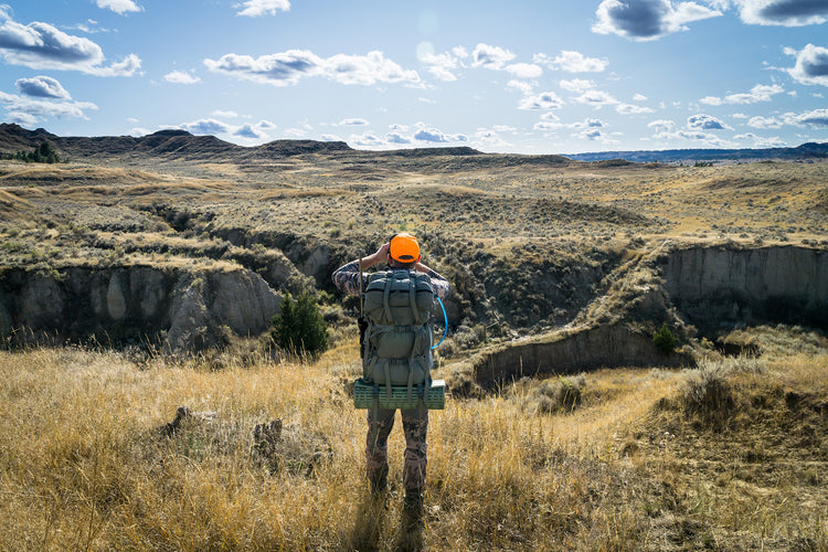 Applying for Deer and Antelope Hunts in Wyoming