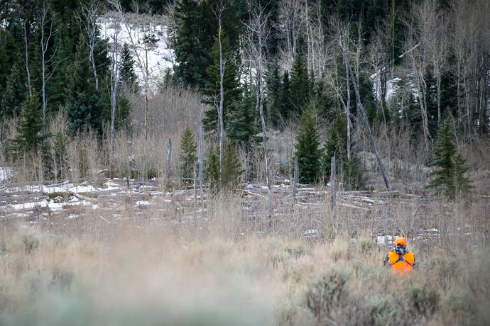 7 Tips For Western Spot and Stalk Hunting Tactics