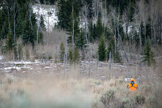 7 Tips For Western Spot and Stalk Hunting Tactics