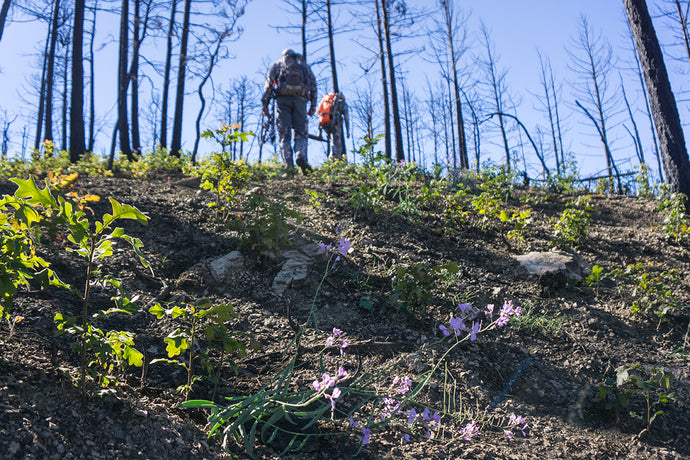 Frequently Asked Questions About Hunting Burns