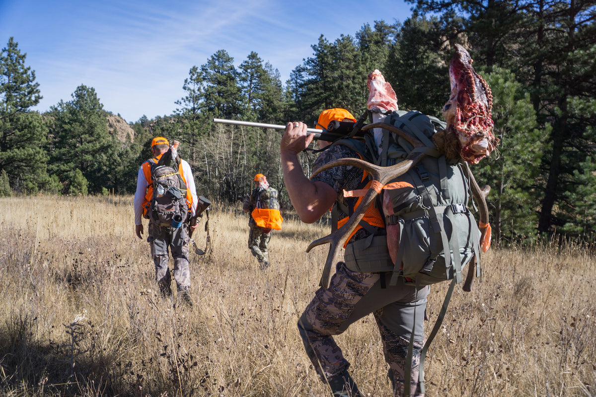 3 Reasons to Apply for an Elk Tag in Wyoming
