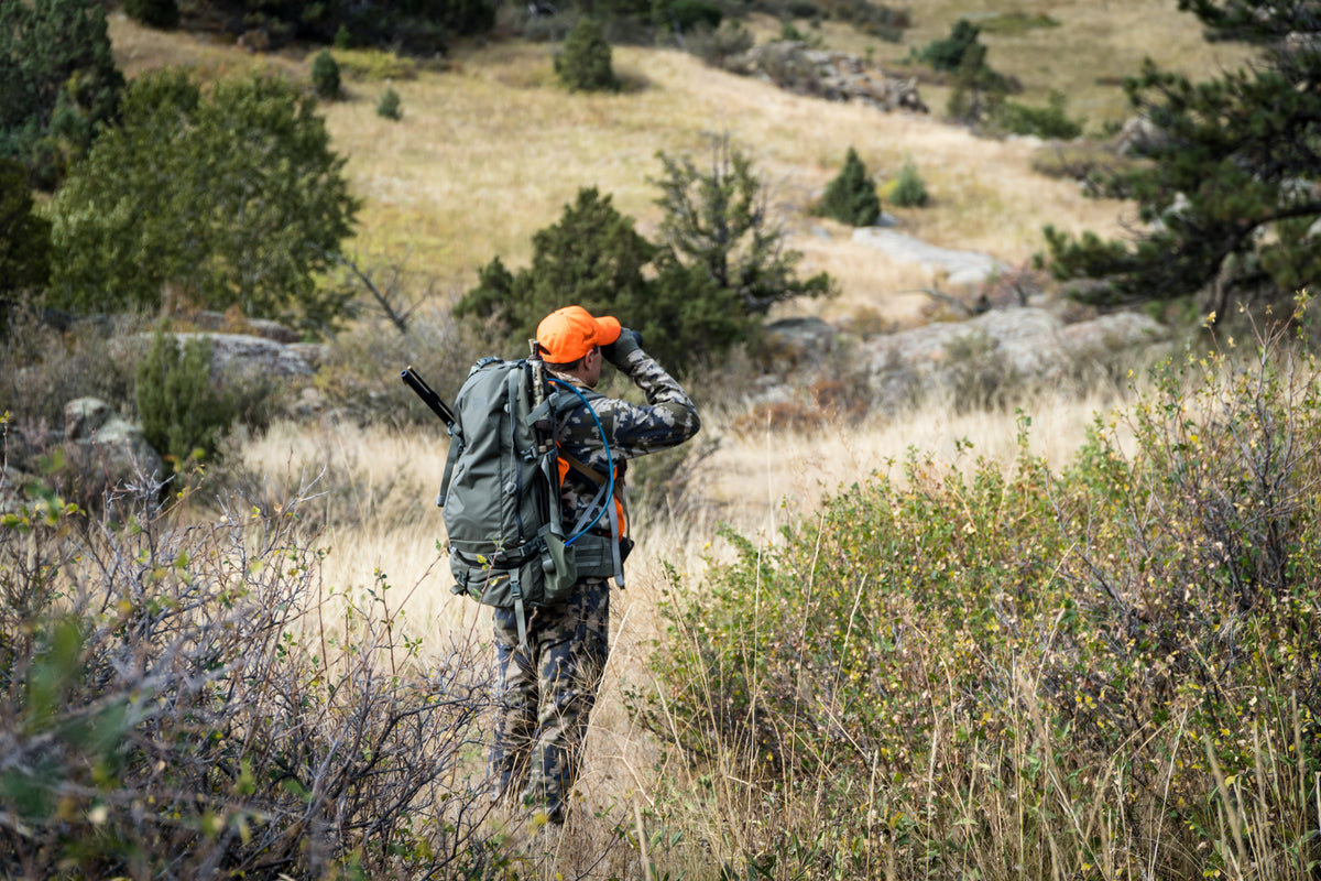 5 Tips for Your Next Mule Deer Hunt