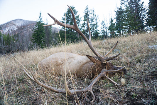Montana Nonresident Hunting Opportunities