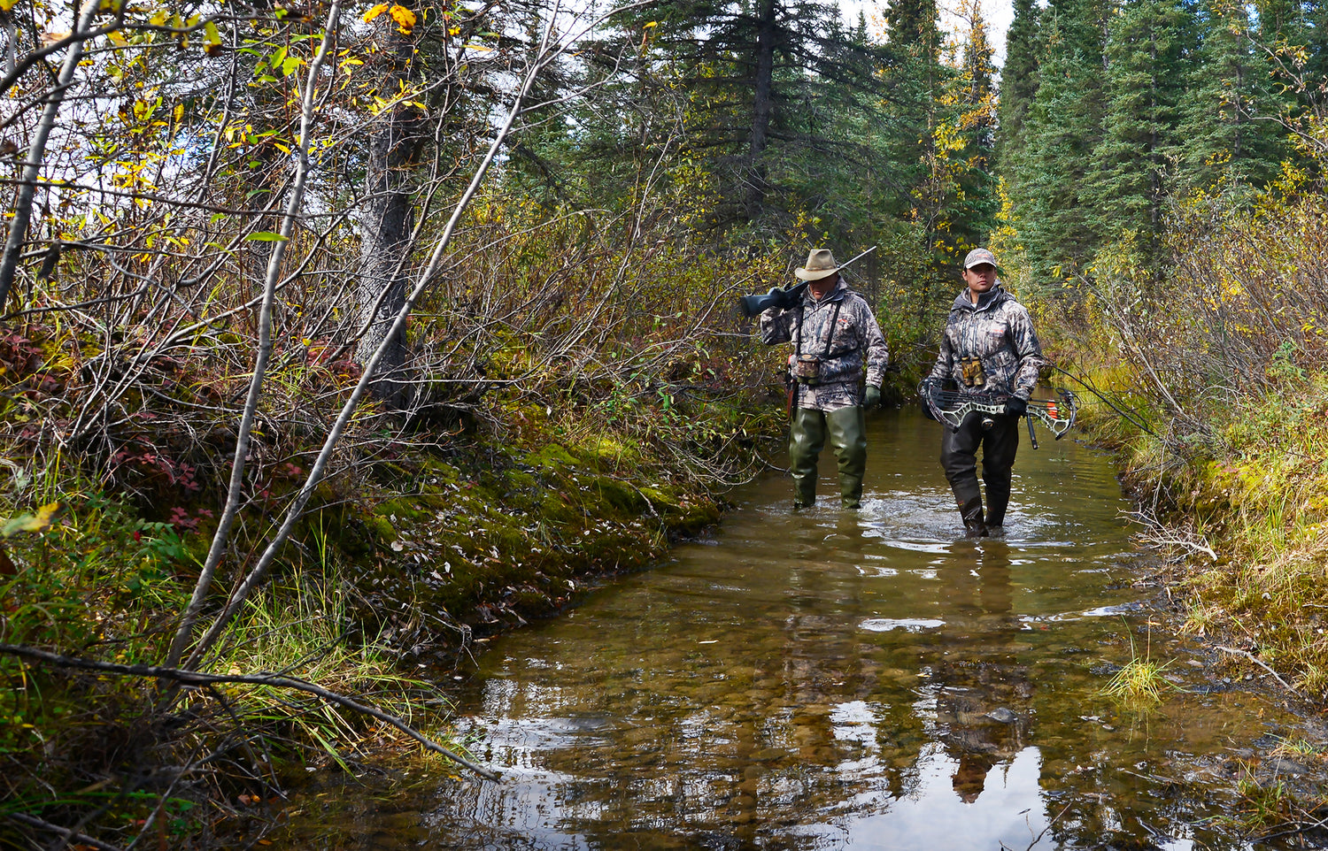 Colorado Draw Results: Secondary Leftover and OTC Options Caribou