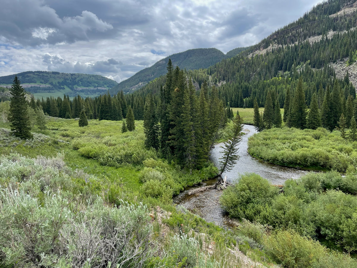 Colorado Flat Tops Wilderness Scenery near Budge's Wilderness Lodge
