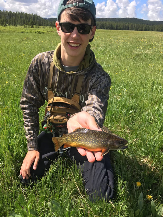 The Wonderful Brook Trout