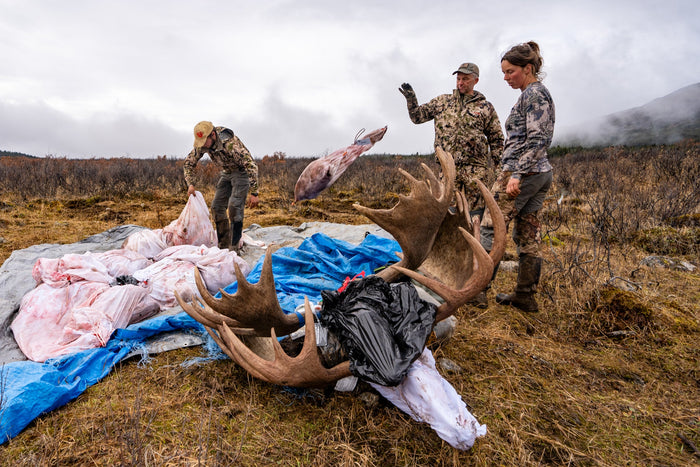 Complete moose game bag system organized for oversized quarters ribs cape and meat parts during an Alaska packout