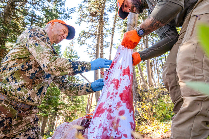 Backcountry hunter handling meat care after the shot in warm early season conditions