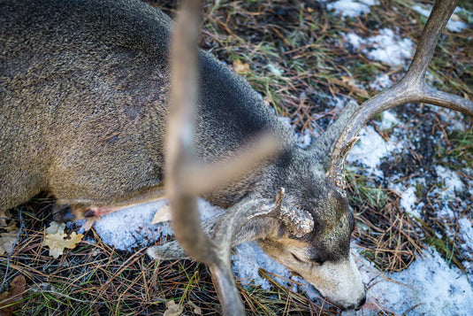 Mule deer game bags organized beside a backpack during a Western backcountry packout
