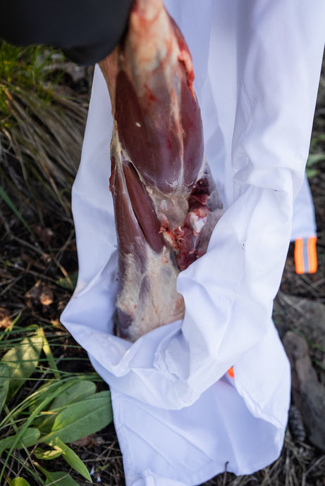 Late-Season Elk Meat Care: The Freeze–Thaw Playbook for Second & Third Rifle