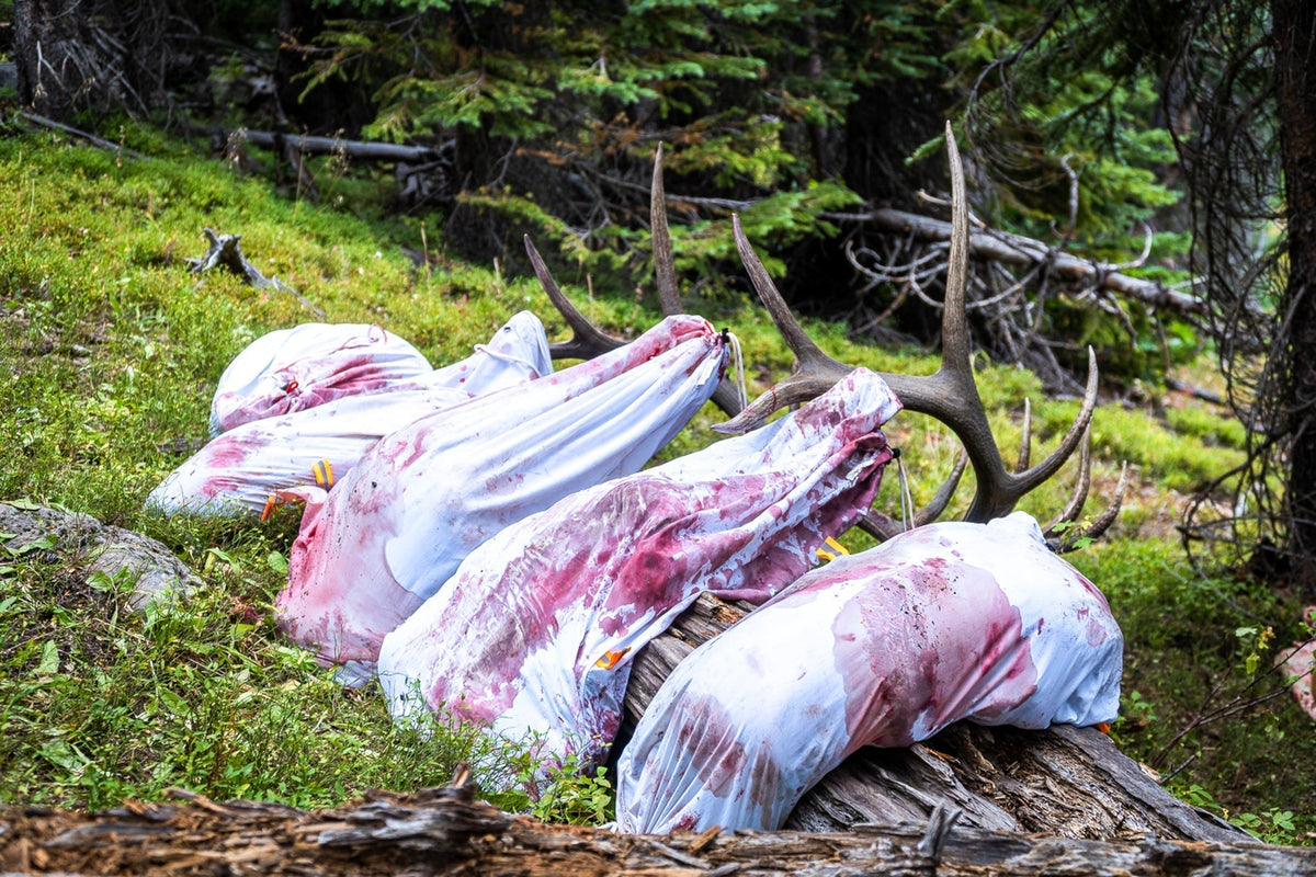 White Caribou Gear game bags holding elk meat rest on downed logs beside elk antlers in shaded mountain timber.