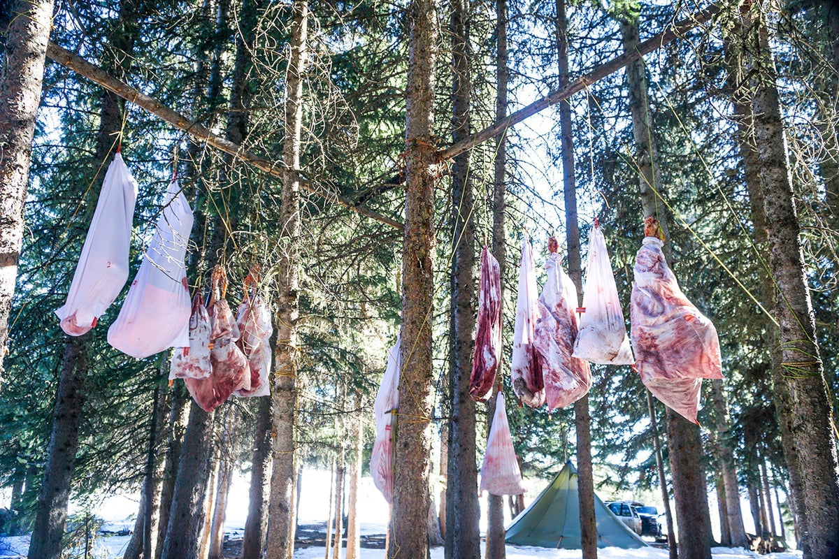 Elk quarters hanging in breathable white game bags with narrow orange reflective tabs under tarp with proper airflow spacing in backcountry