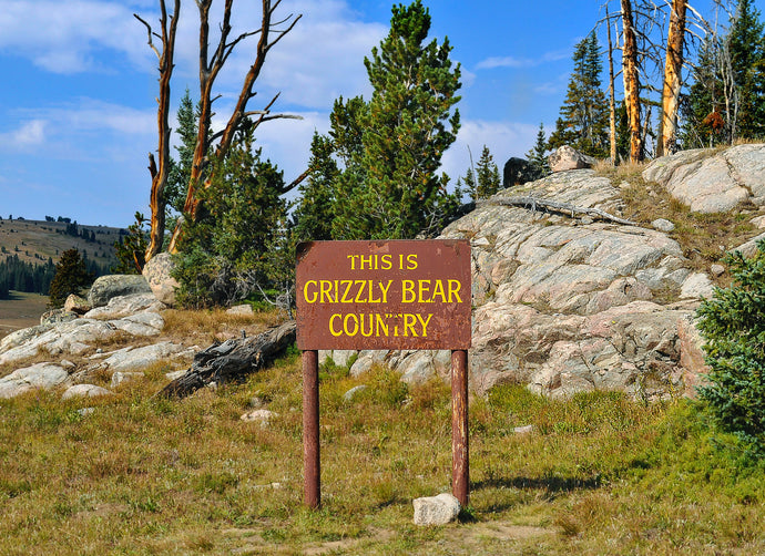 Does Bear Spray Work For Grizzlies?