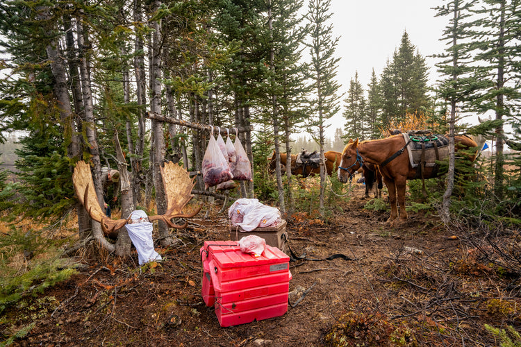 Caribou Gear Canadian Dealers