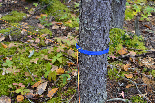 The Hanger - Bear Bag, Multi Use Food hanging system / shelter / Clothes Line